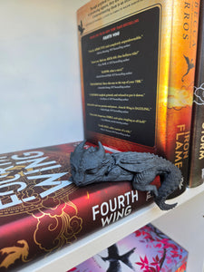 Sleeping Baby Dragon Bookshelf Decor