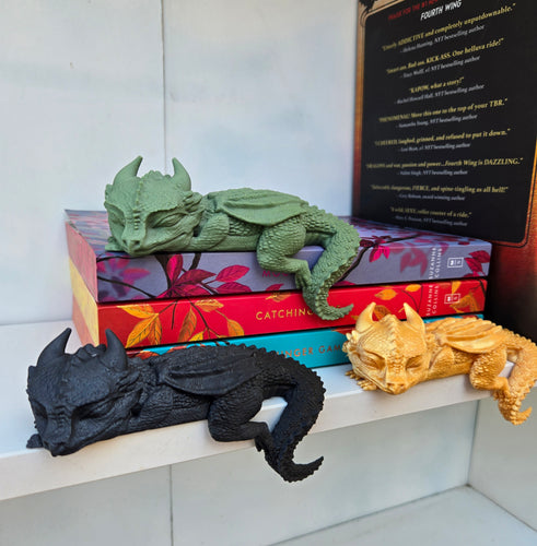 Sleeping Baby Dragon Bookshelf Decor