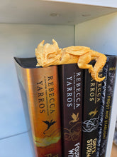 Load image into Gallery viewer, Sleeping Baby Dragon Bookshelf Decor